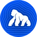 ApeCoin