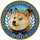 Department Of Government Efficiency
