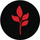 MarsMi