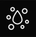 Ridges AI